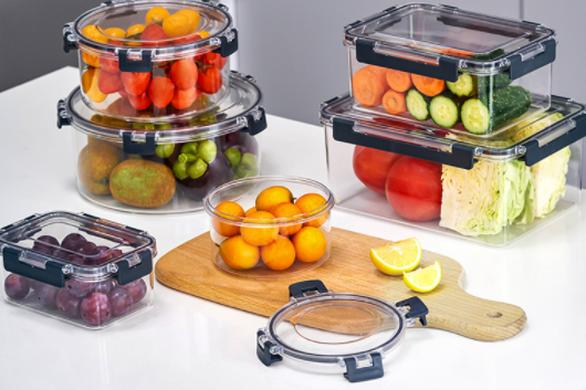plastic food box (2)