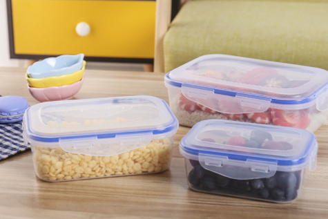 plastic food box (2)