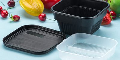 plastic food box 400