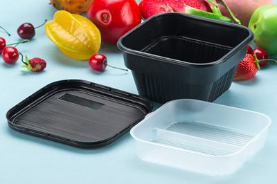plastic food box 400