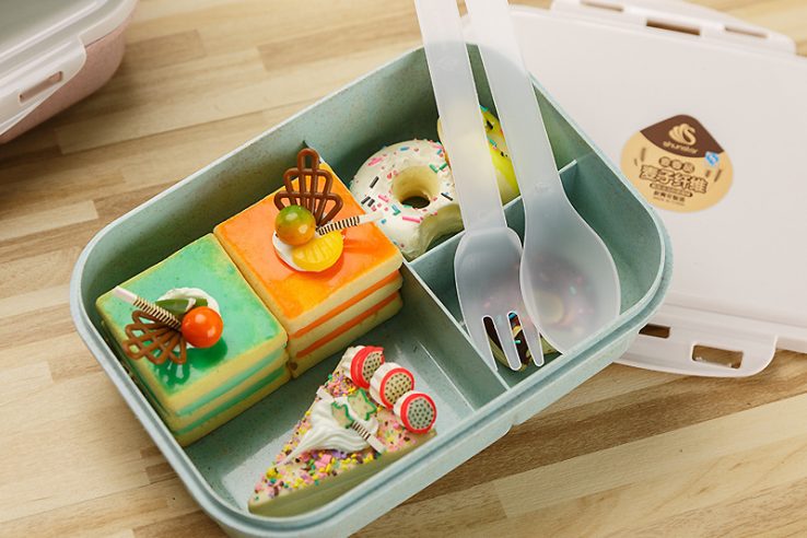 plastic lunch box (2)