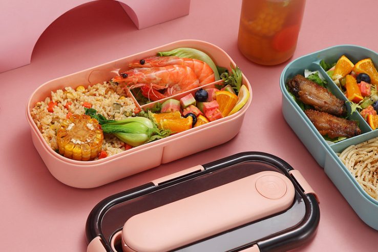 plastic lunch box (2)