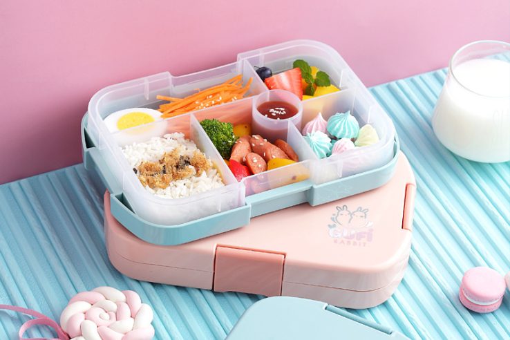 plastic lunch box (4)