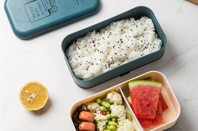 plastic lunch box 400