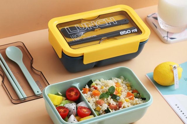 plastic lunch box (5)